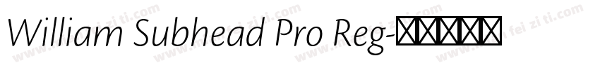 William Subhead Pro Reg字体转换